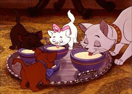 Les petits chatons et leur mères 